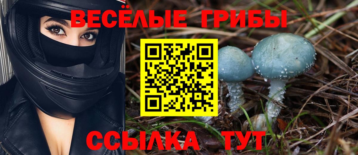 Галлюциногенные грибы ЛСД  Вход с VPN  Зеленодольск 